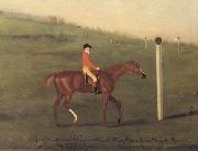 Francis Sartorius 'Eclipse' with Jockey up walking the Course for the King's Plate 1776 oil painting reproduction